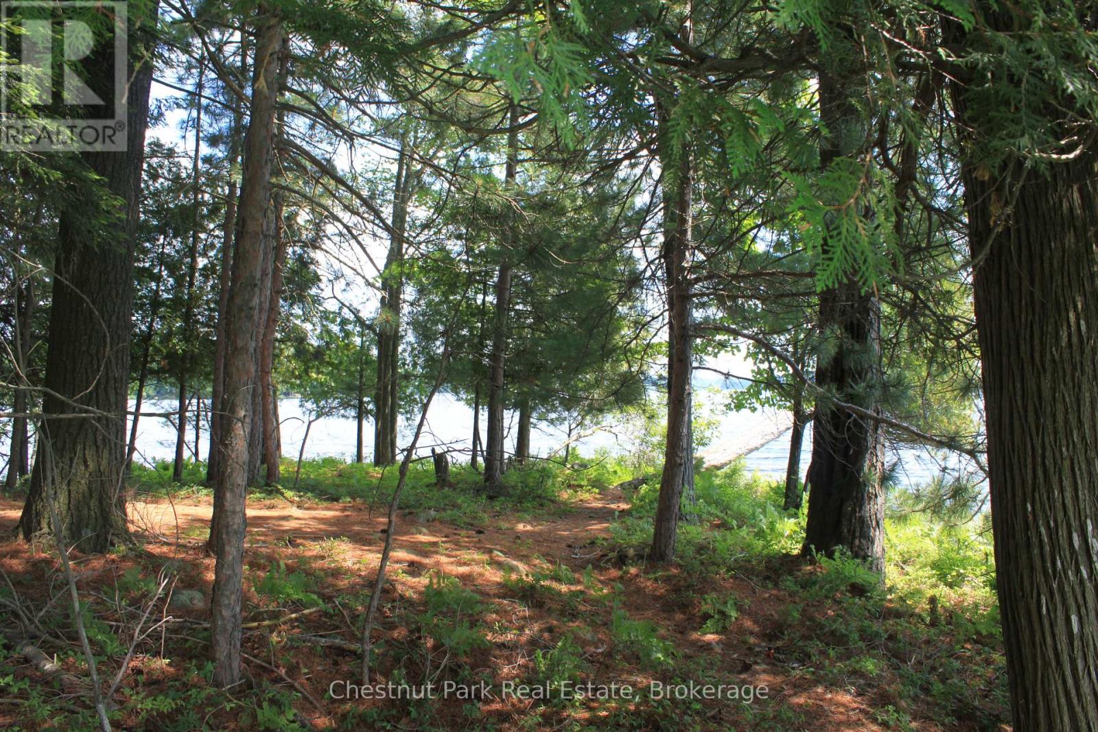 32 Bigwin Island, Lake Of Bays, Ontario  P0B 1A0 - Photo 10 - X12265757