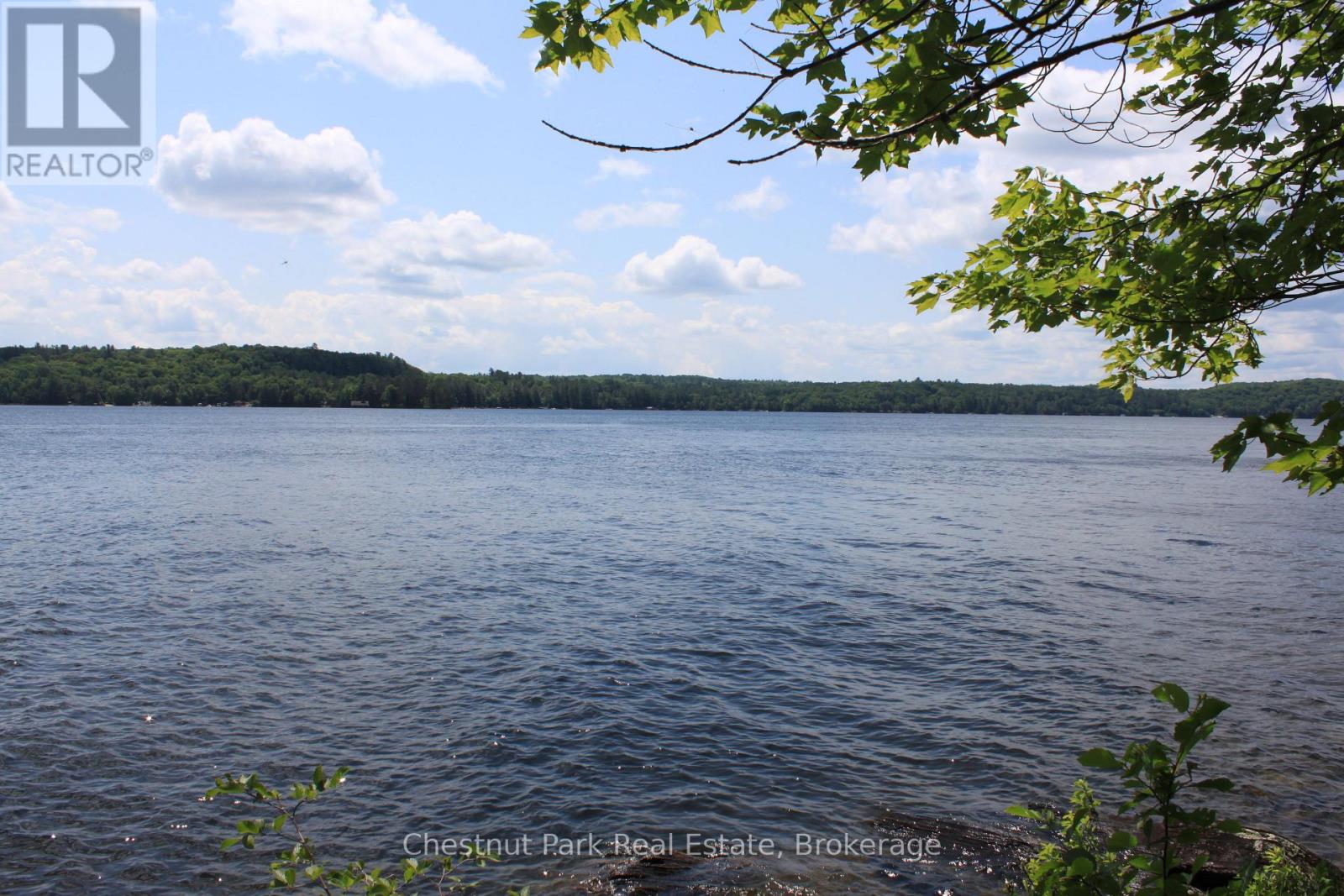 32 Bigwin Island, Lake Of Bays, Ontario  P0B 1A0 - Photo 11 - X12265757