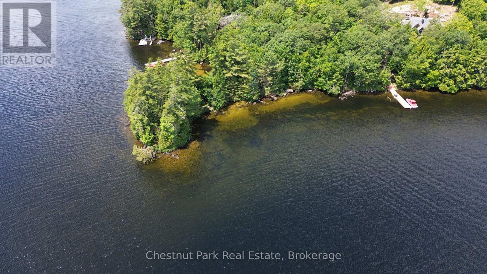 32 Bigwin Island, Lake Of Bays, Ontario  P0B 1A0 - Photo 14 - X12265757