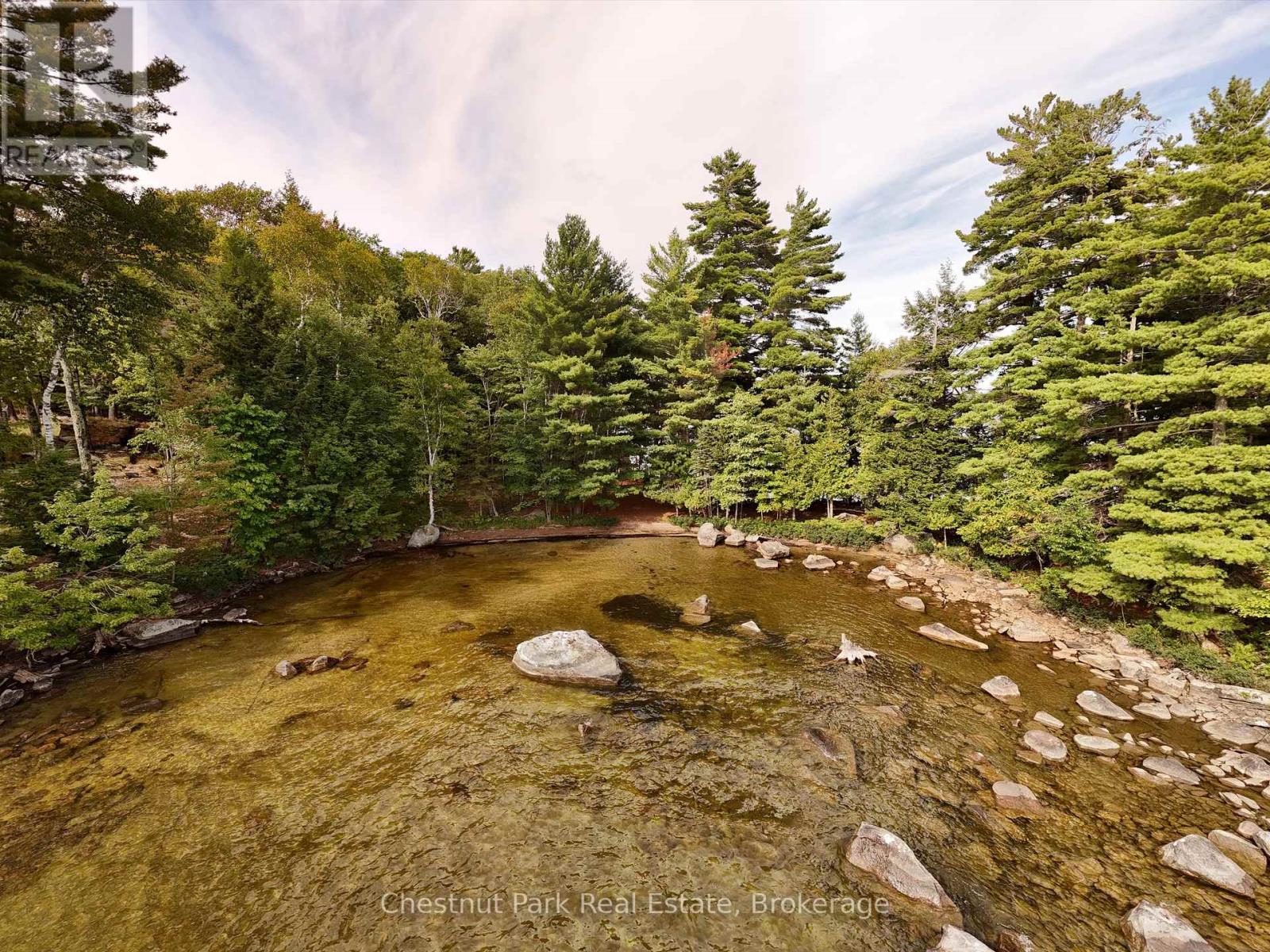 32 Bigwin Island, Lake Of Bays, Ontario  P0B 1A0 - Photo 6 - X12265757