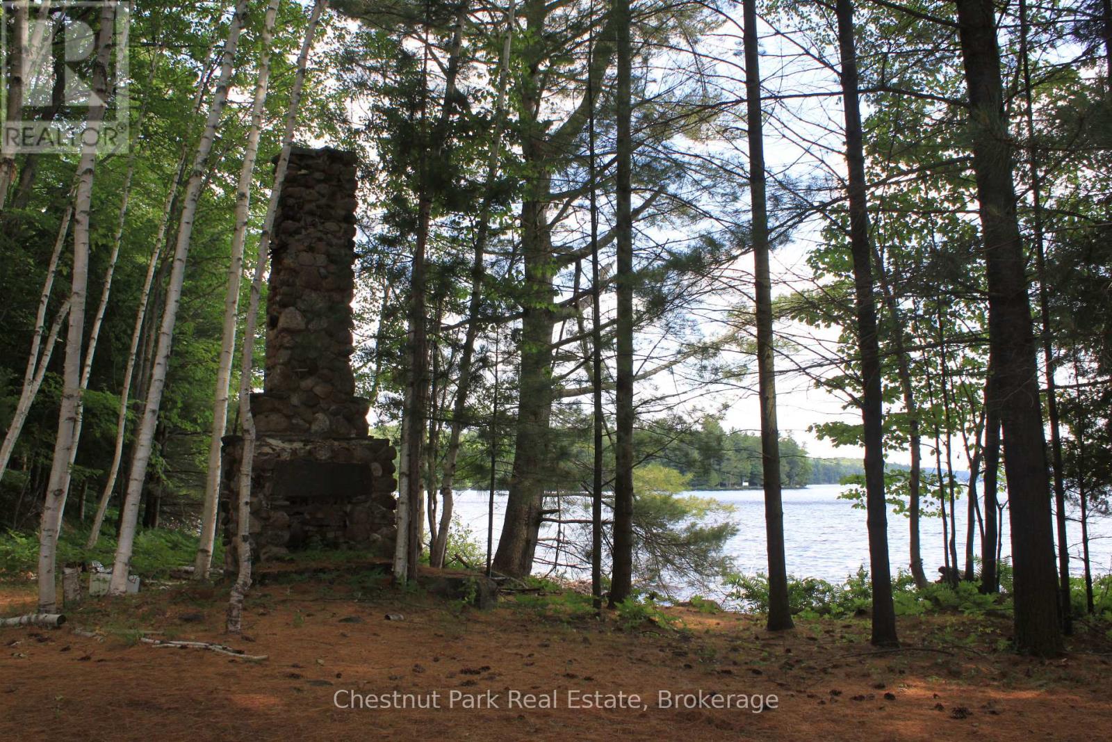 32 Bigwin Island, Lake Of Bays, Ontario  P0B 1A0 - Photo 7 - X12265757