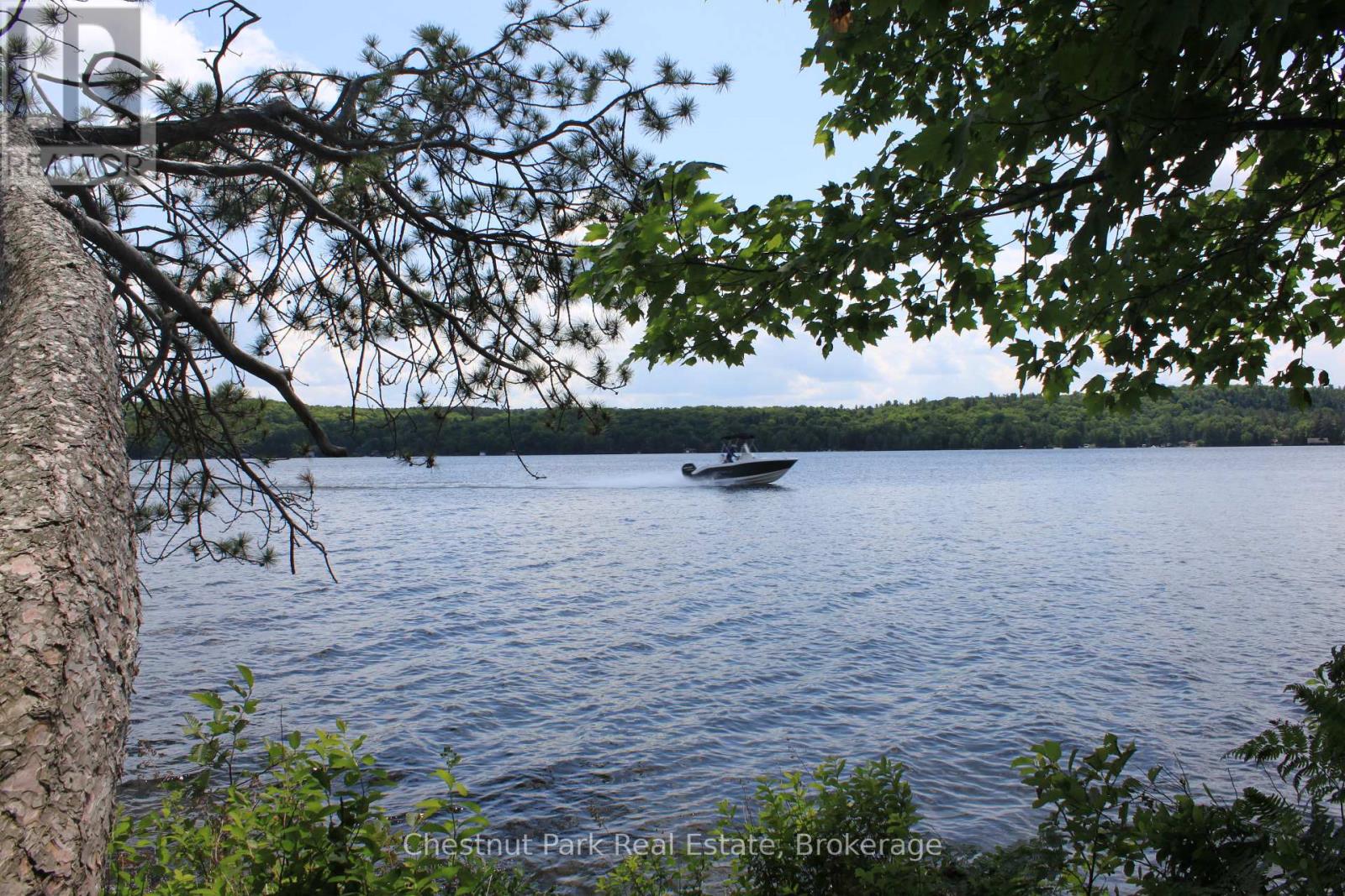 32 Bigwin Island, Lake Of Bays, Ontario  P0B 1A0 - Photo 8 - X12265757