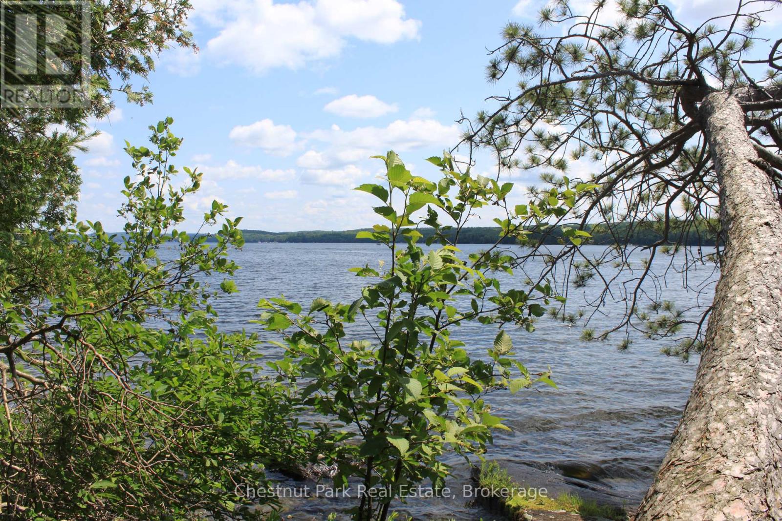 32 Bigwin Island, Lake Of Bays, Ontario  P0B 1A0 - Photo 9 - X12265757