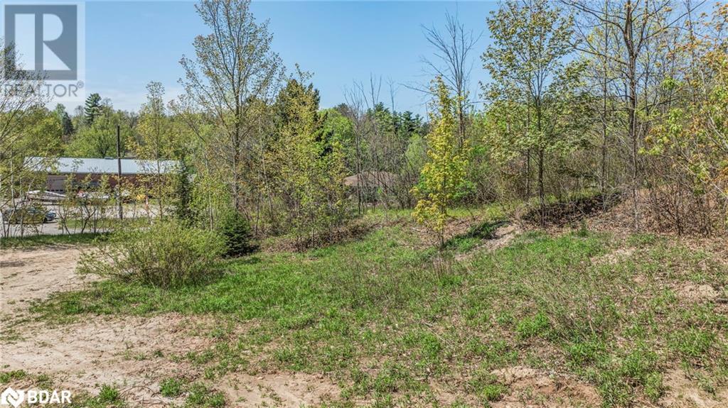 22 Main St Street, Glen Williams, Ontario  L7G 3G8 - Photo 10 - 40748240