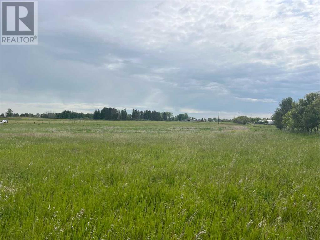 226018 76 Street E, Rural Foothills County, Alberta  T1S 3W2 - Photo 4 - A2236610