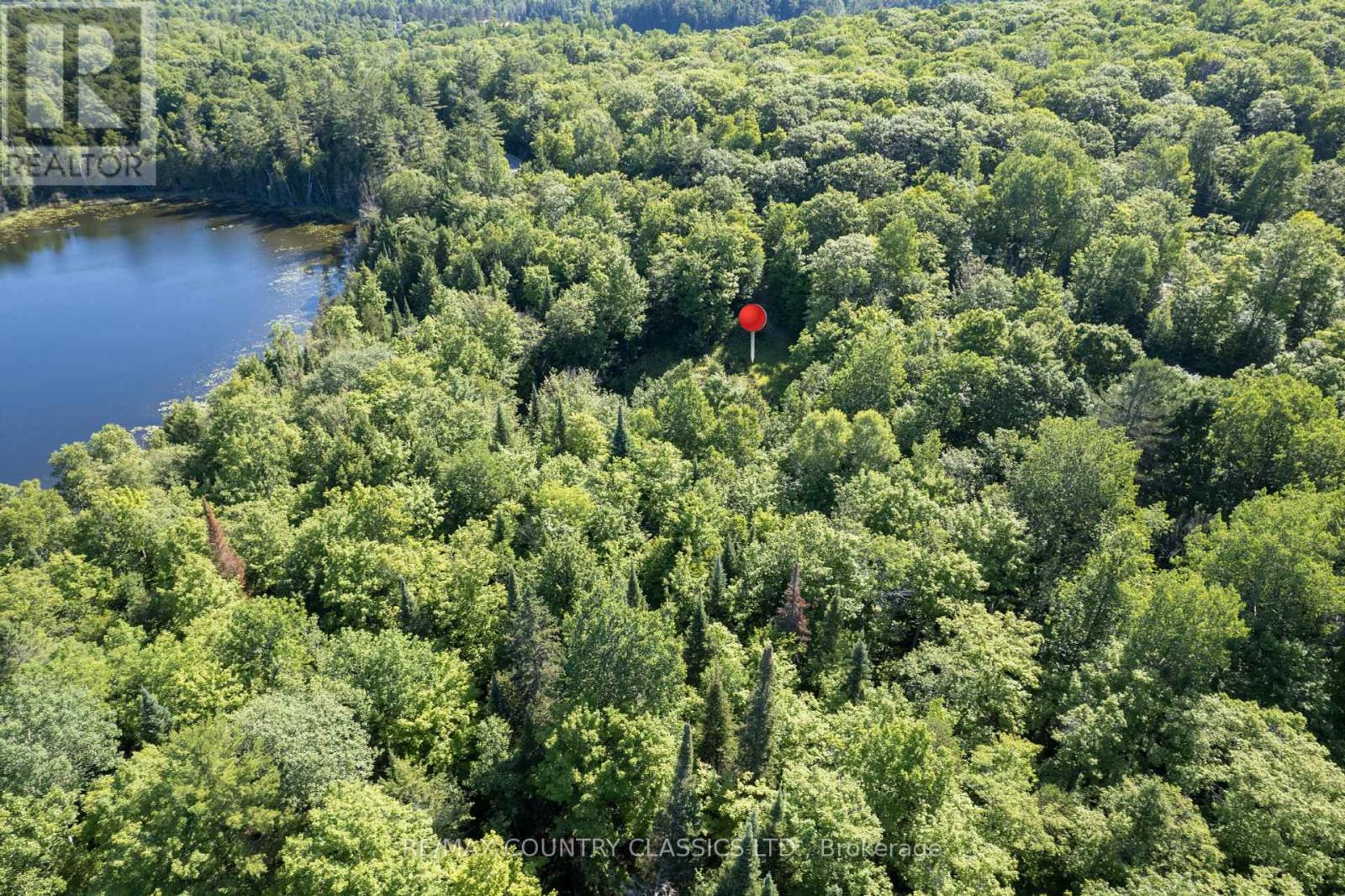 1805 Bay Lake Road, Faraday, Ontario  K0L 1C0 - Photo 11 - X12265869