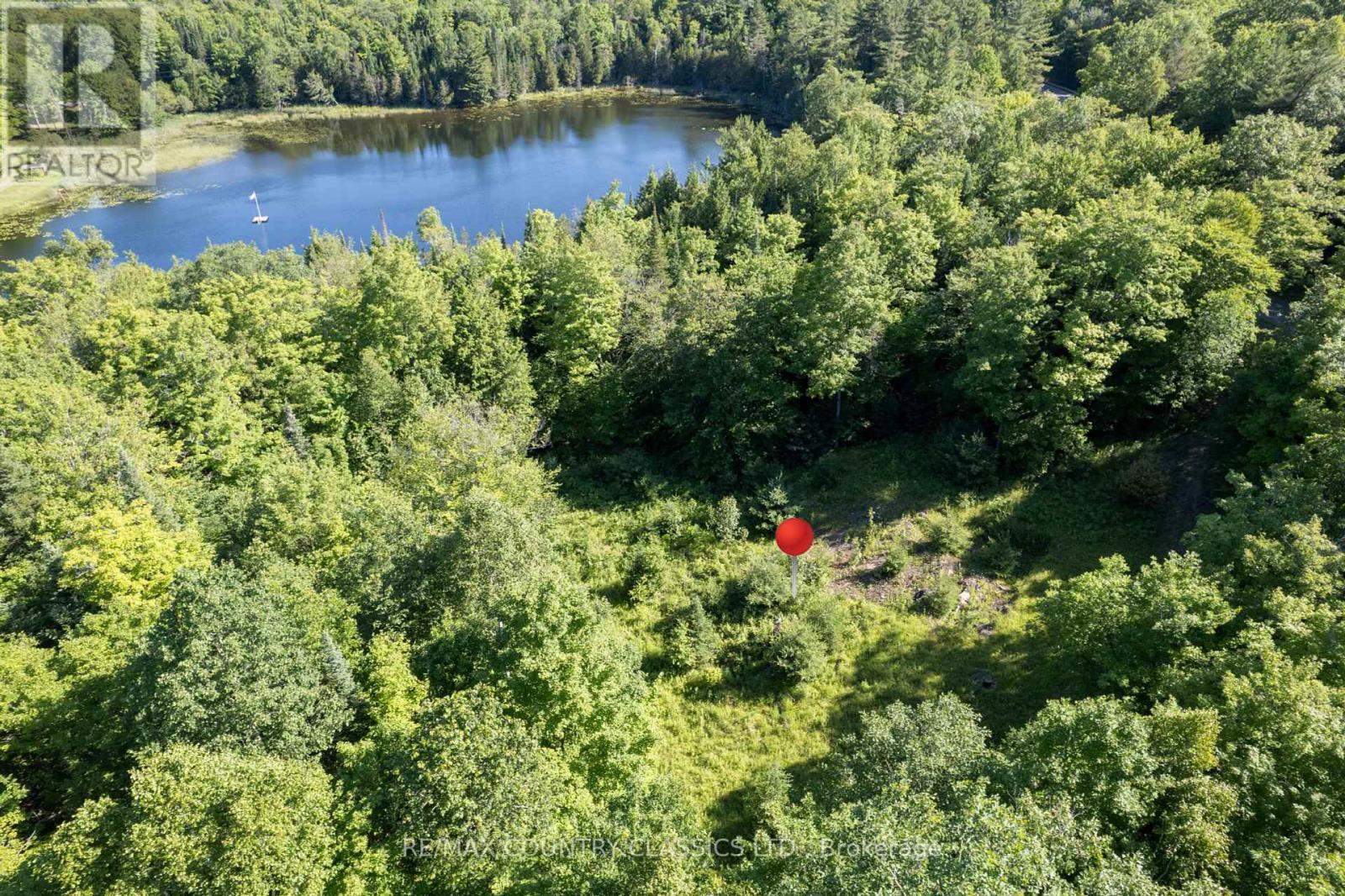 1805 Bay Lake Road, Faraday, Ontario  K0L 1C0 - Photo 3 - X12265869