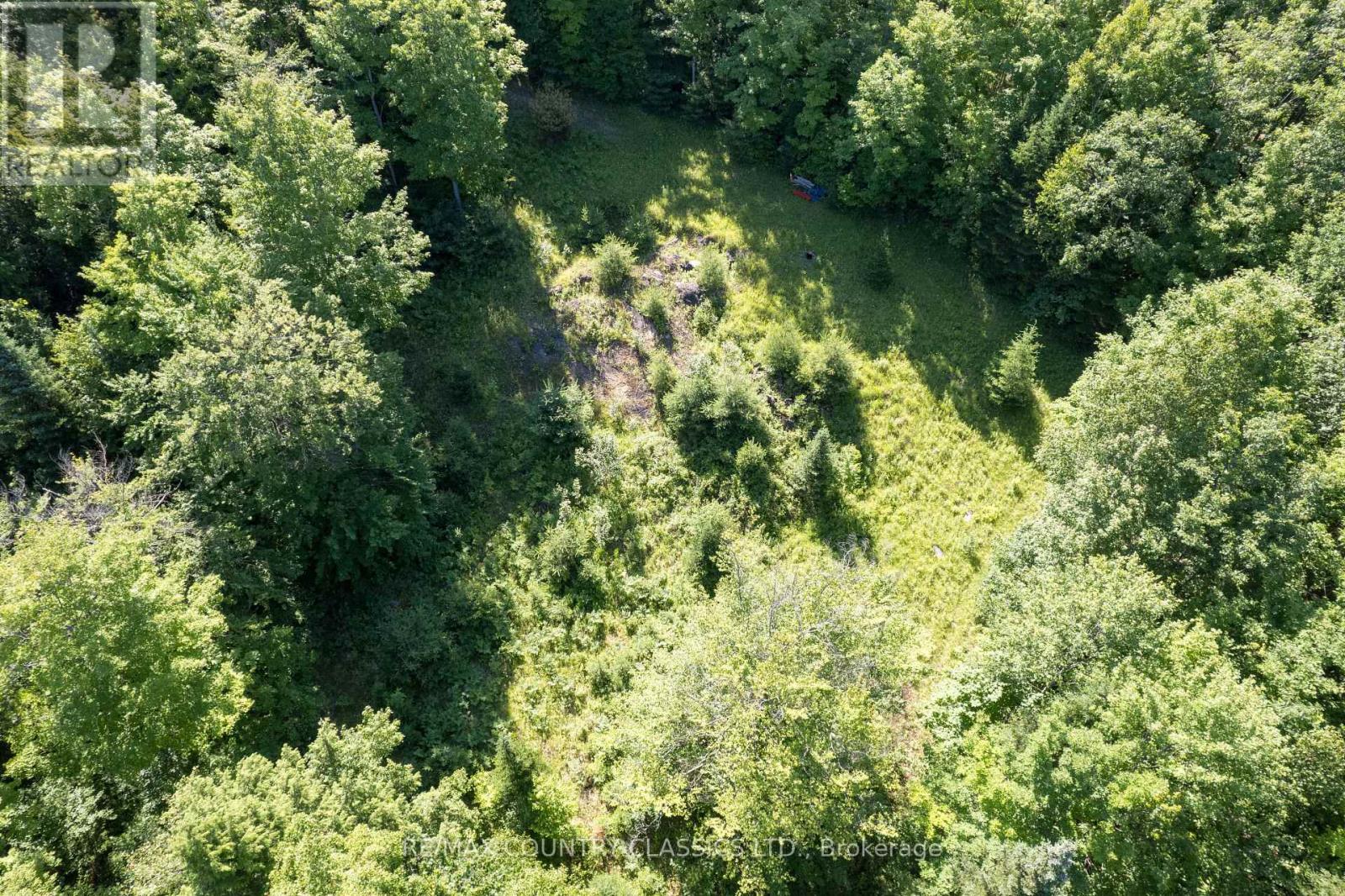 1805 Bay Lake Road, Faraday, Ontario  K0L 1C0 - Photo 6 - X12265869