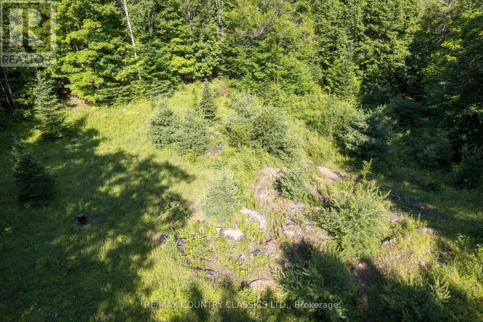 1805 Bay Lake Road, Faraday, Ontario  K0L 1C0 - Photo 7 - X12265869