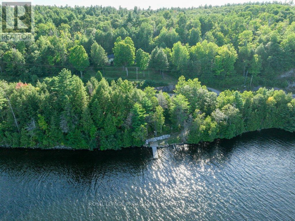 17100 Highway 41, Addington Highlands, Ontario  K0H 1K0 - Photo 49 - X12034401