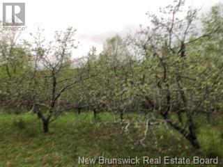 935 Route 575, Pole Hill, New Brunswick  E7P 1Z7 - Photo 7 - NB114257