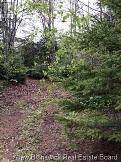 935 Route 575, Pole Hill, New Brunswick  E7P 1Z7 - Photo 5 - NB114257