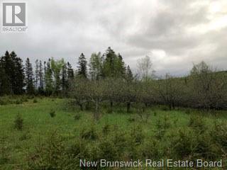 935 Route 575, Pole Hill, New Brunswick  E7P 1Z7 - Photo 8 - NB114257
