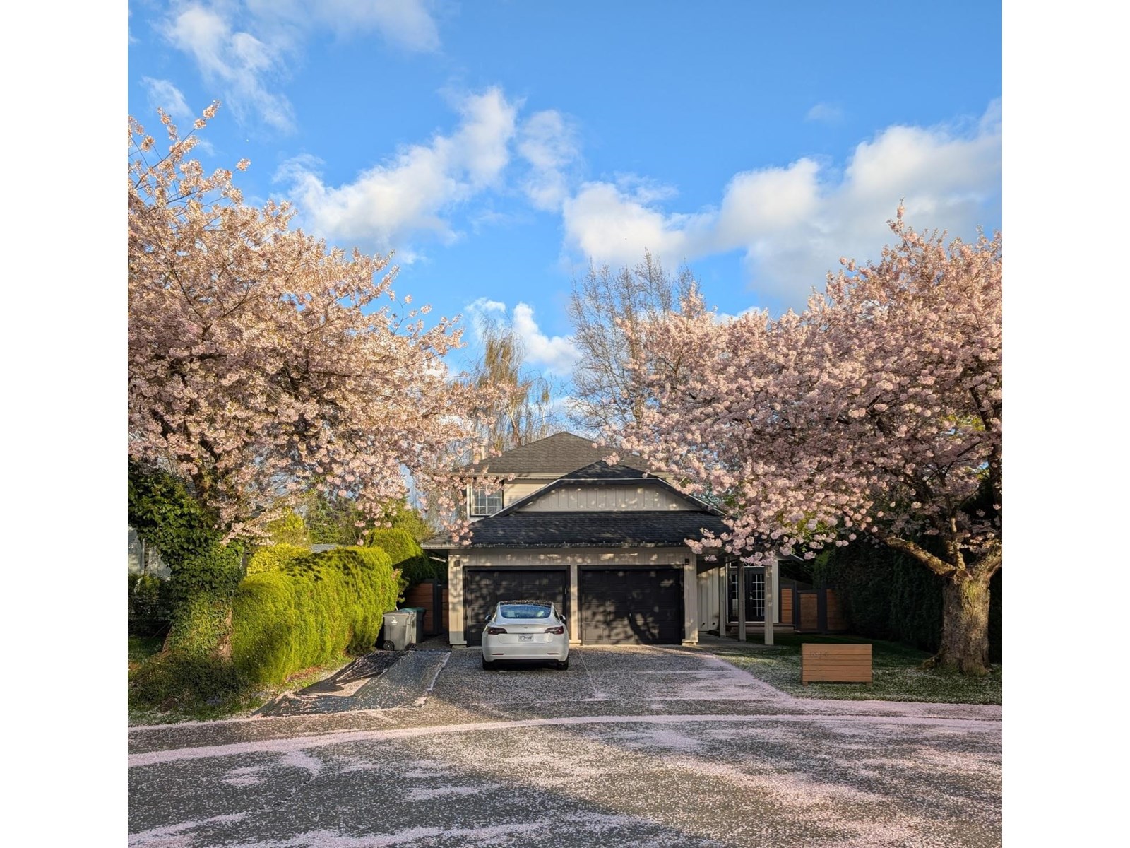 1614 143b Street, Surrey, British Columbia V4A 8M7 - Photo 33 - R3015660