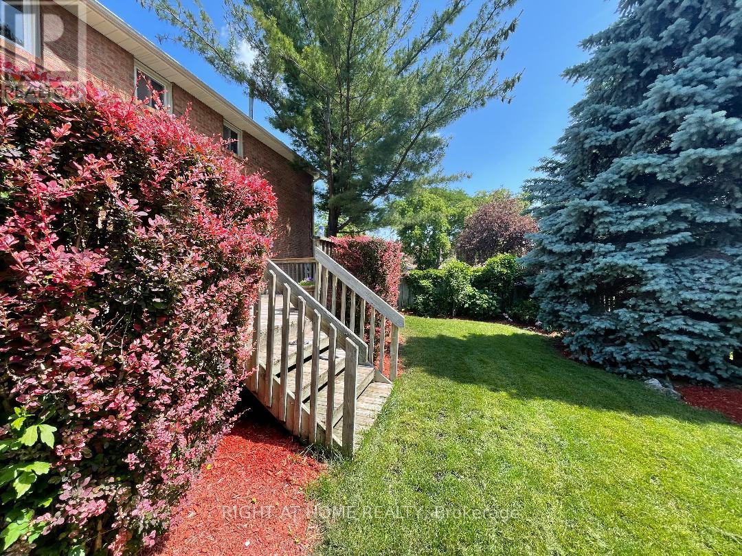 3668 Belvedere Crescent, Mississauga, Ontario  L5L 3B4 - Photo 36 - W12236805