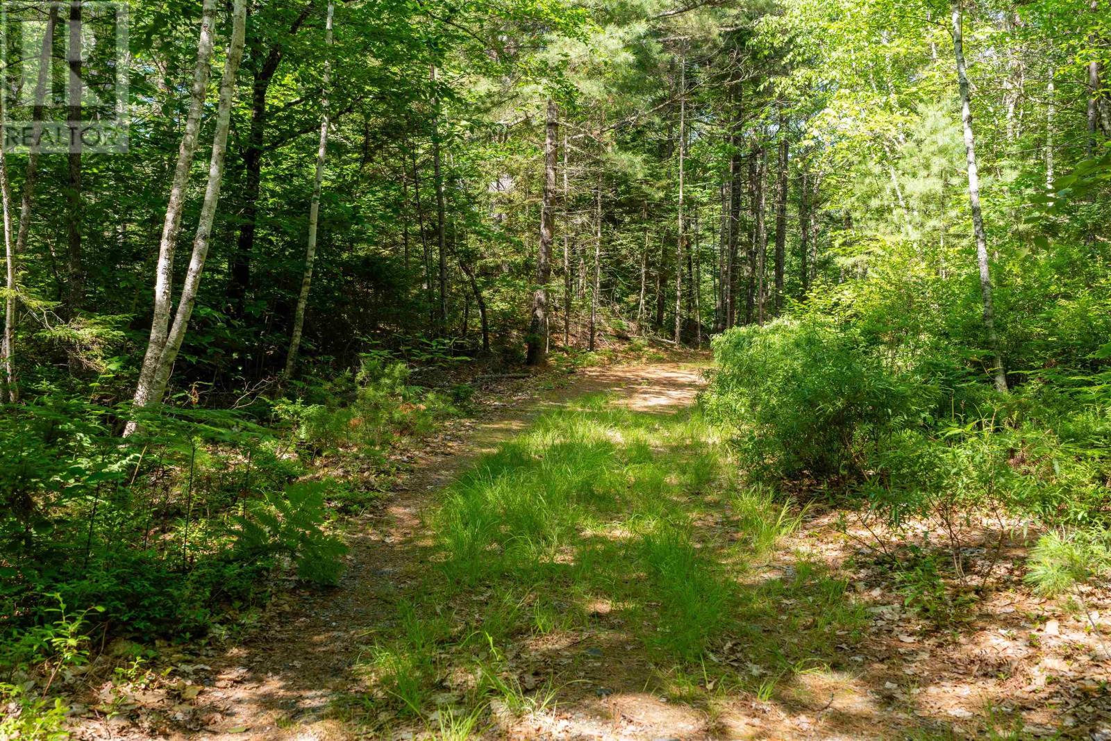 Lot 11 Peters Point Road, South Brookfield, Nova Scotia  B0T 1X0 - Photo 20 - 202516382