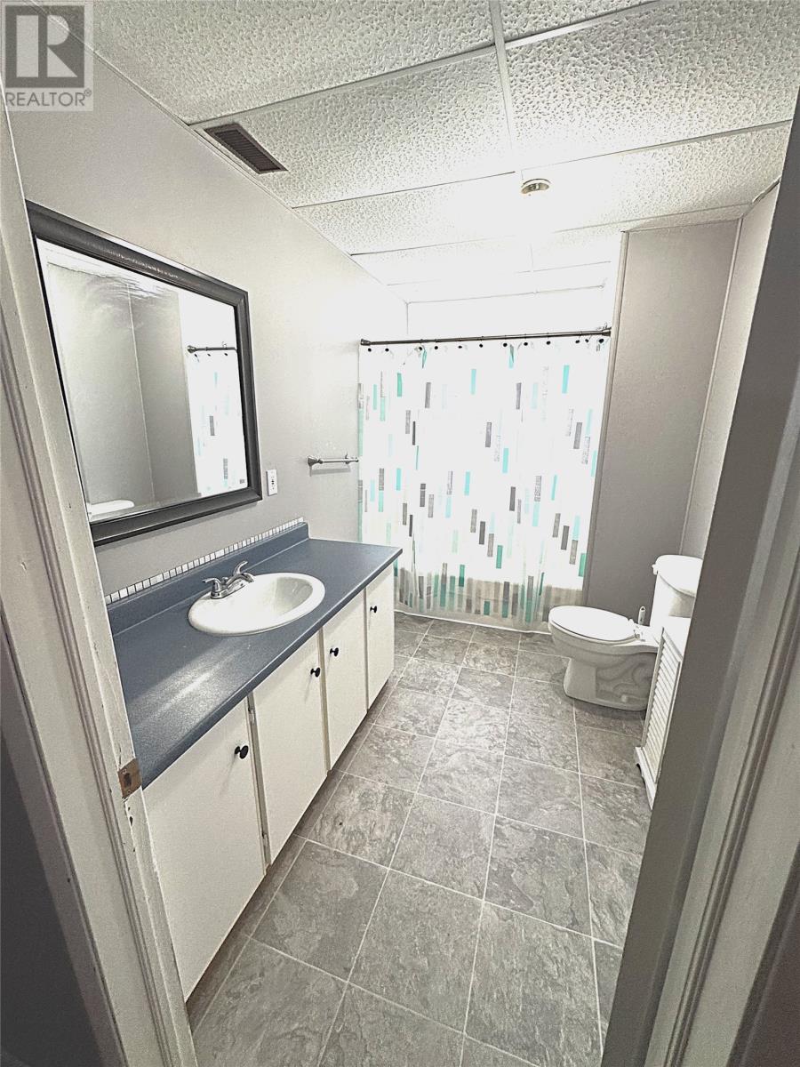 172 Springfield Road, South River, Newfoundland & Labrador  A0A 3W0 - Photo 15 - 1287421