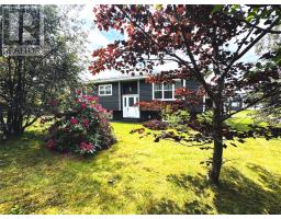 172 Springfield Road, South River, Newfoundland & Labrador