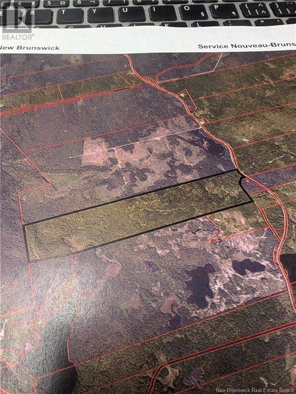 Woodlot 111 Route, St. Martins, New Brunswick