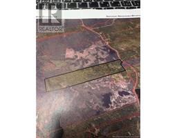 Woodlot 111 Route, St. Martins, New Brunswick