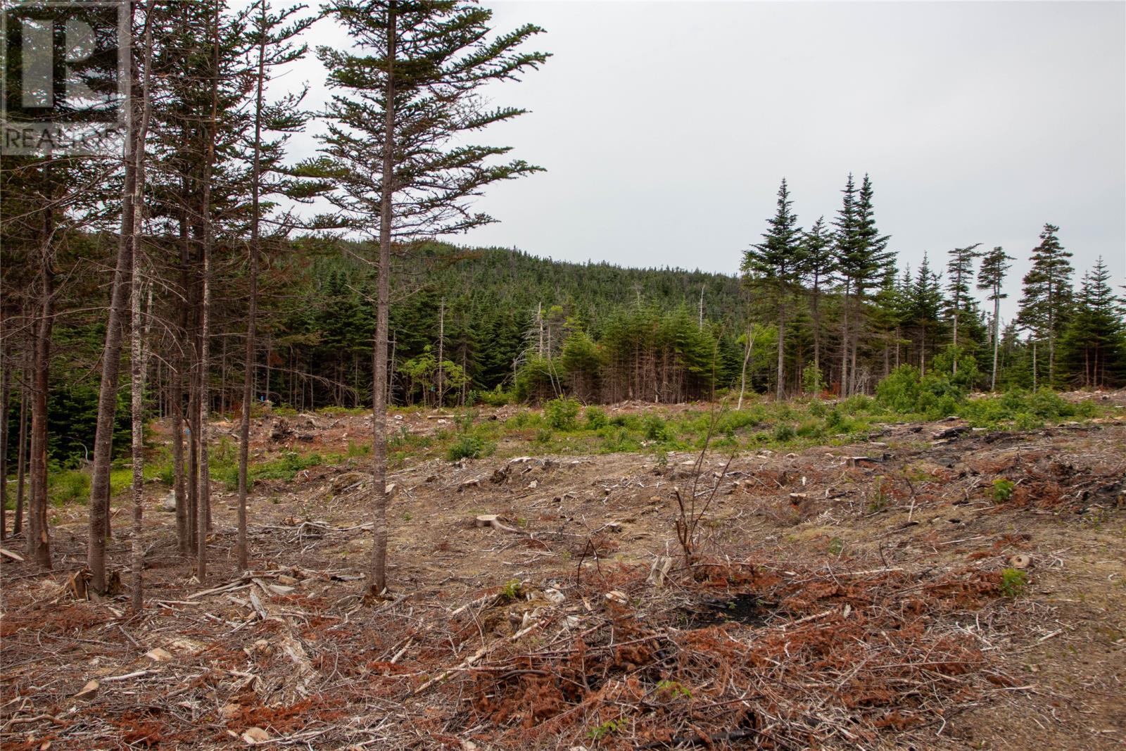 4 Birchy Place, Bonavista, Newfoundland & Labrador