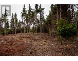 6 Birchy Place, Bonavista, Newfoundland & Labrador