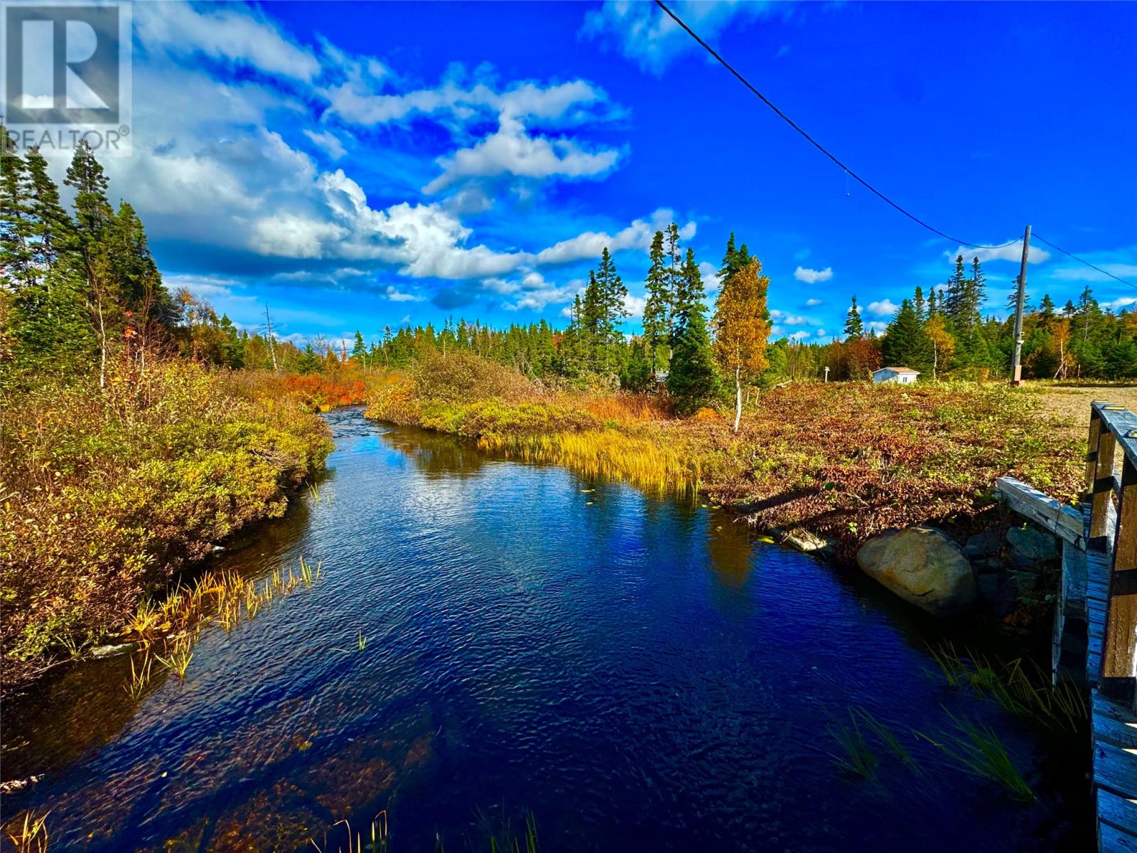 43 Munroe's Pond, Lewisporte, Newfoundland & Labrador  A0G 3A0 - Photo 39 - 1287435