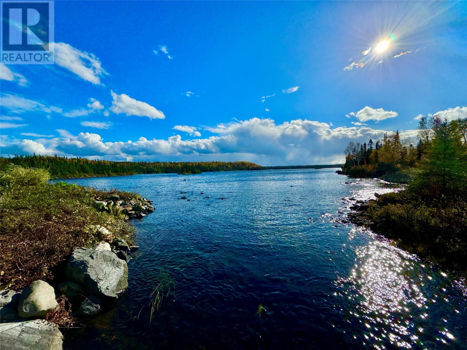 43 Munroe's Pond, Lewisporte, Newfoundland & Labrador  A0G 3A0 - Photo 40 - 1287435