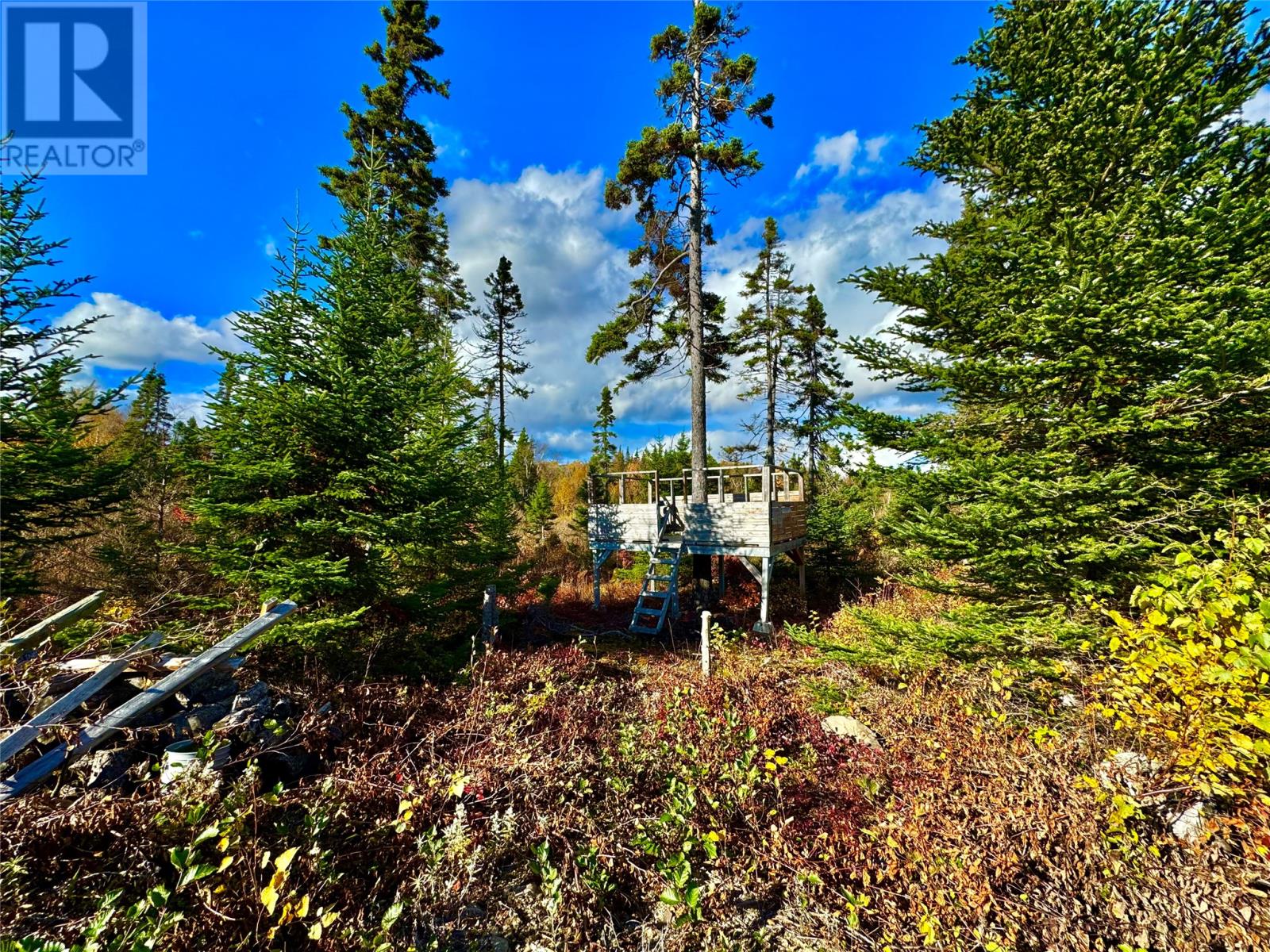 43 Munroe's Pond, Lewisporte, Newfoundland & Labrador  A0G 3A0 - Photo 44 - 1287435