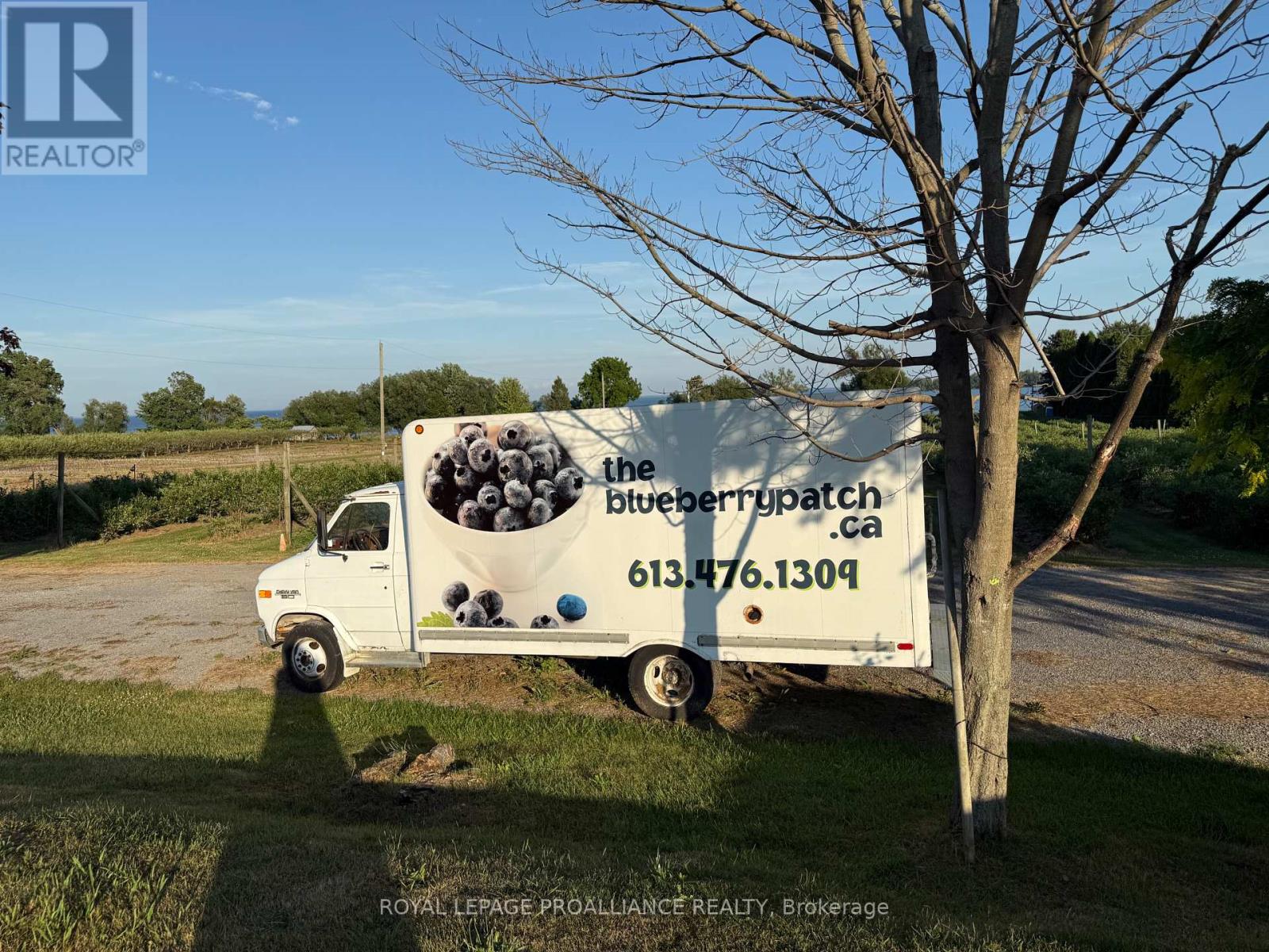 00 County Road 8, Prince Edward County, Ontario  K0K 2T0 - Photo 11 - X12266601