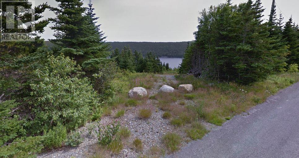 0 Payne's Road, Aquaforte, Newfoundland & Labrador  A0A 0B3 - Photo 2 - 1287445