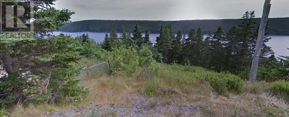 0 Payne's Road, Aquaforte, Newfoundland & Labrador  A0A 0B3 - Photo 3 - 1287445
