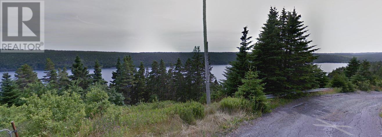 0 Payne's Road, Aquaforte, Newfoundland & Labrador  A0A 0B3 - Photo 4 - 1287445