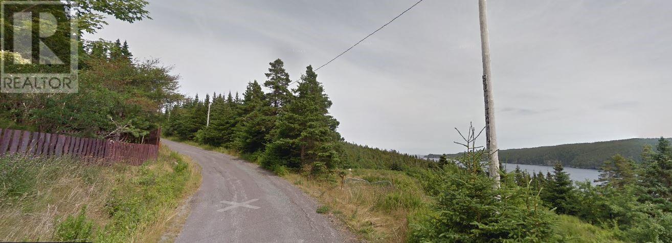 0 Payne's Road, Aquaforte, Newfoundland & Labrador  A0A 0B3 - Photo 5 - 1287445