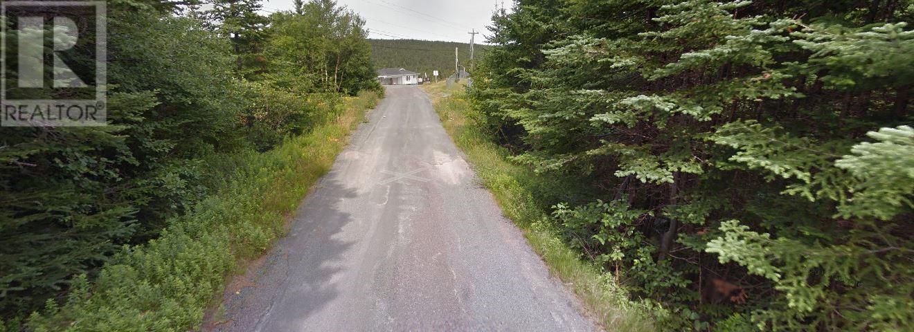 0 Payne's Road, Aquaforte, Newfoundland & Labrador  A0A 0B3 - Photo 6 - 1287445