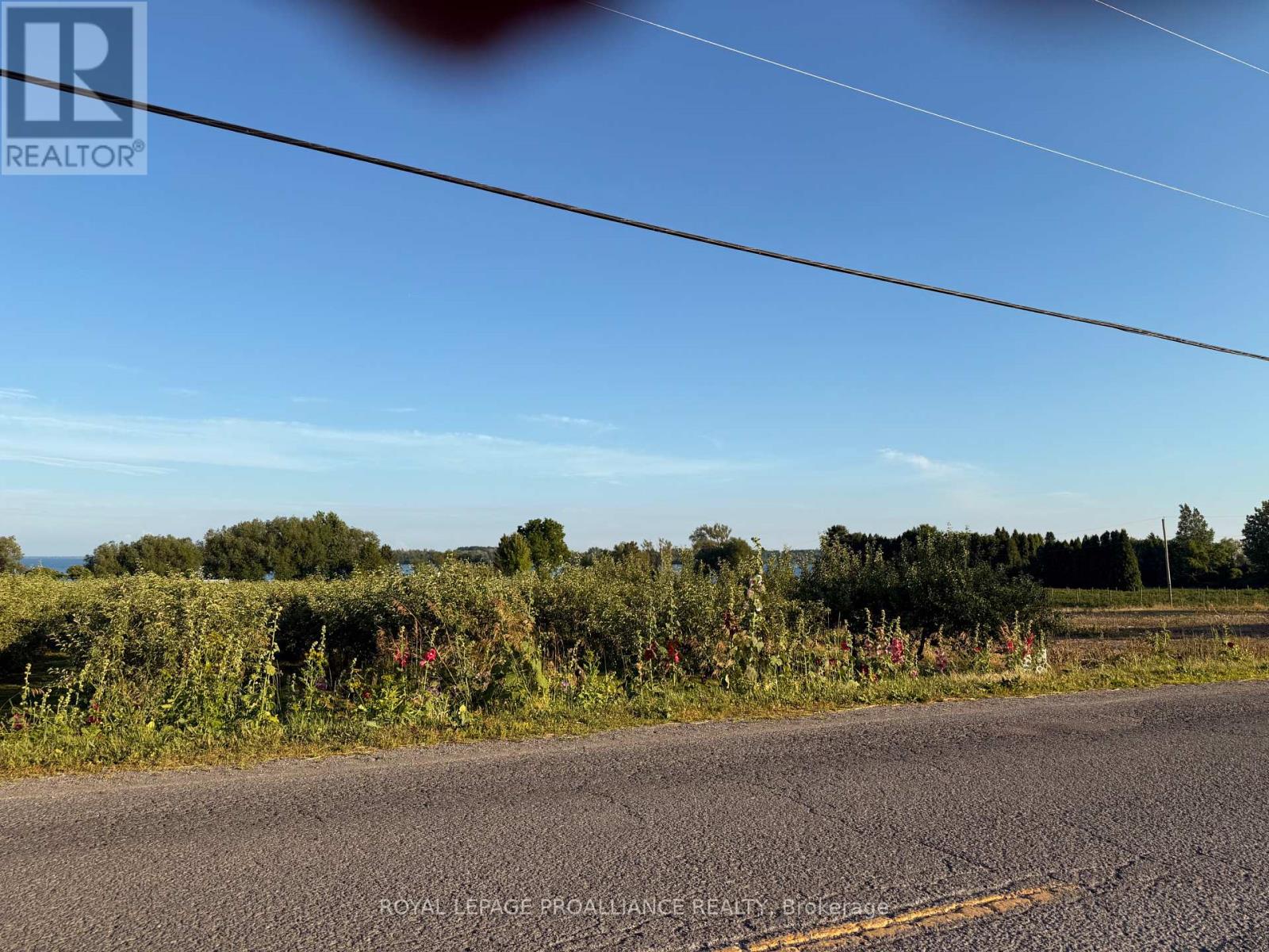 00 County Road 8, Prince Edward County, Ontario K0K 2T0 - Photo 3 - X12266601