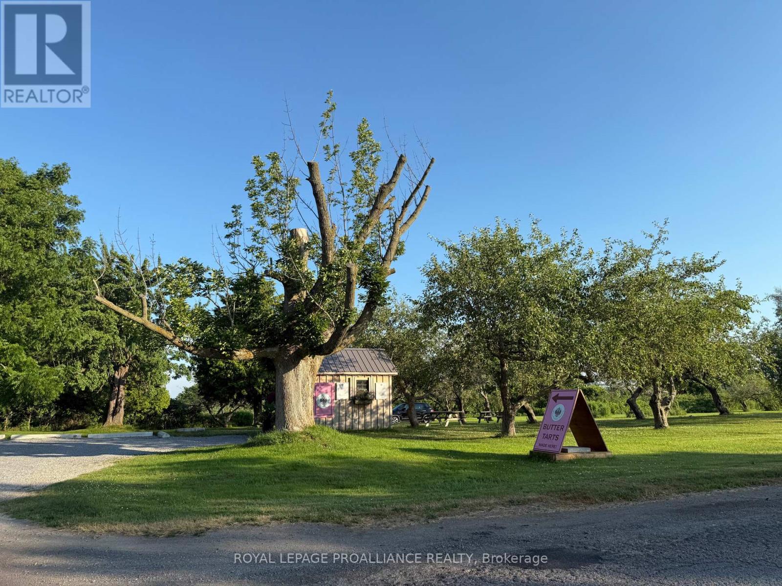 00 County Road 8, Prince Edward County, Ontario K0K 2T0 - Photo 9 - X12266601