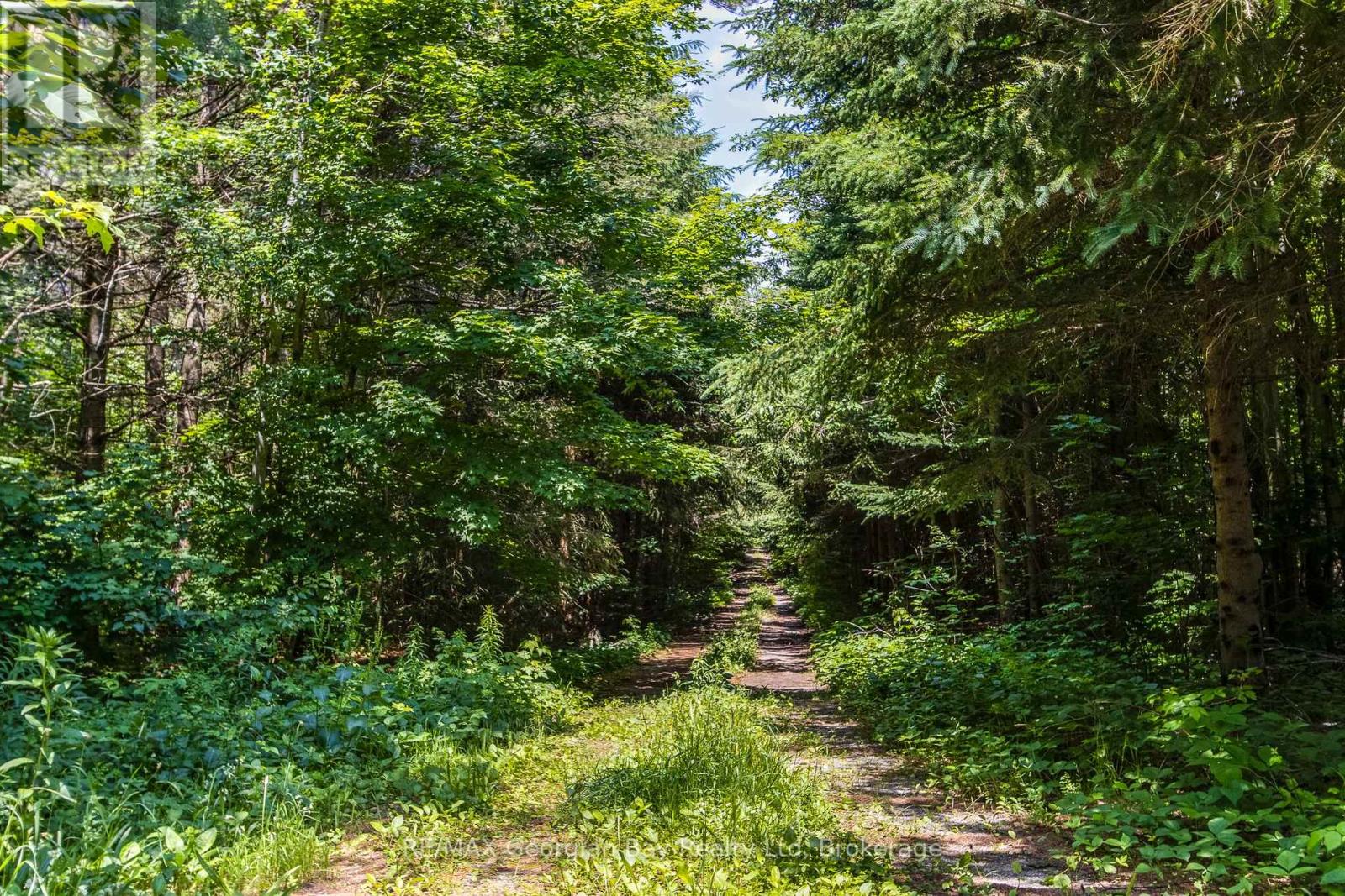 N 1/2 7 Con 16 Concession E, Tiny, Ontario  L9M 0L0 - Photo 15 - S12251824