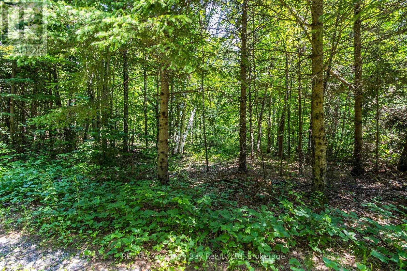 N 1/2 7 Con 16 Concession E, Tiny, Ontario  L9M 0L0 - Photo 16 - S12251824