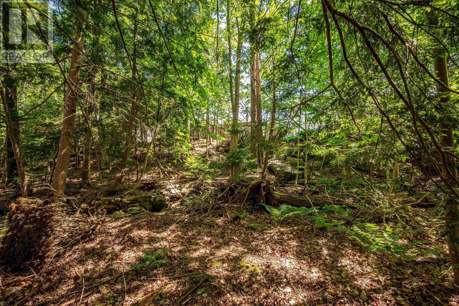 248 Acadia Mill Drive, Bedford, Nova Scotia  B4A 3Z4 - Photo 46 - 202516769