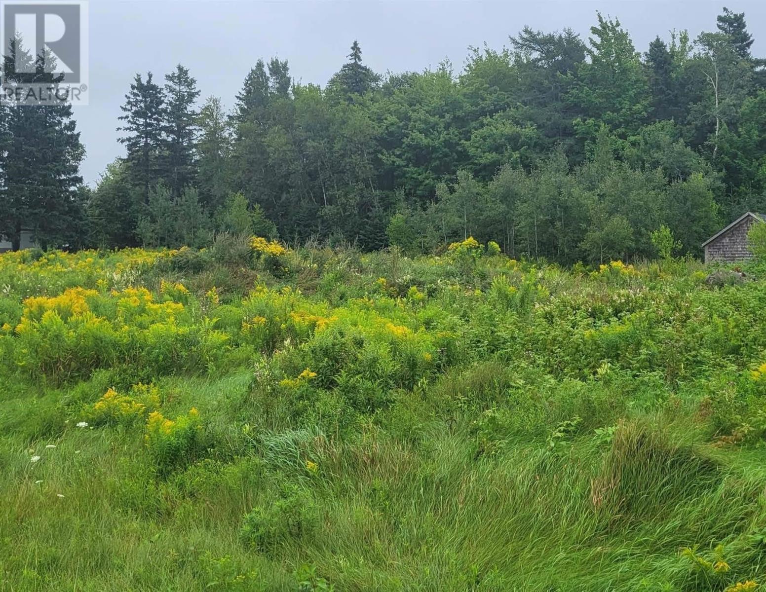 Lot Western Road, Route 2, Mount Pleasant, Prince Edward Island  C0B 1H0 - Photo 1 - 202516780