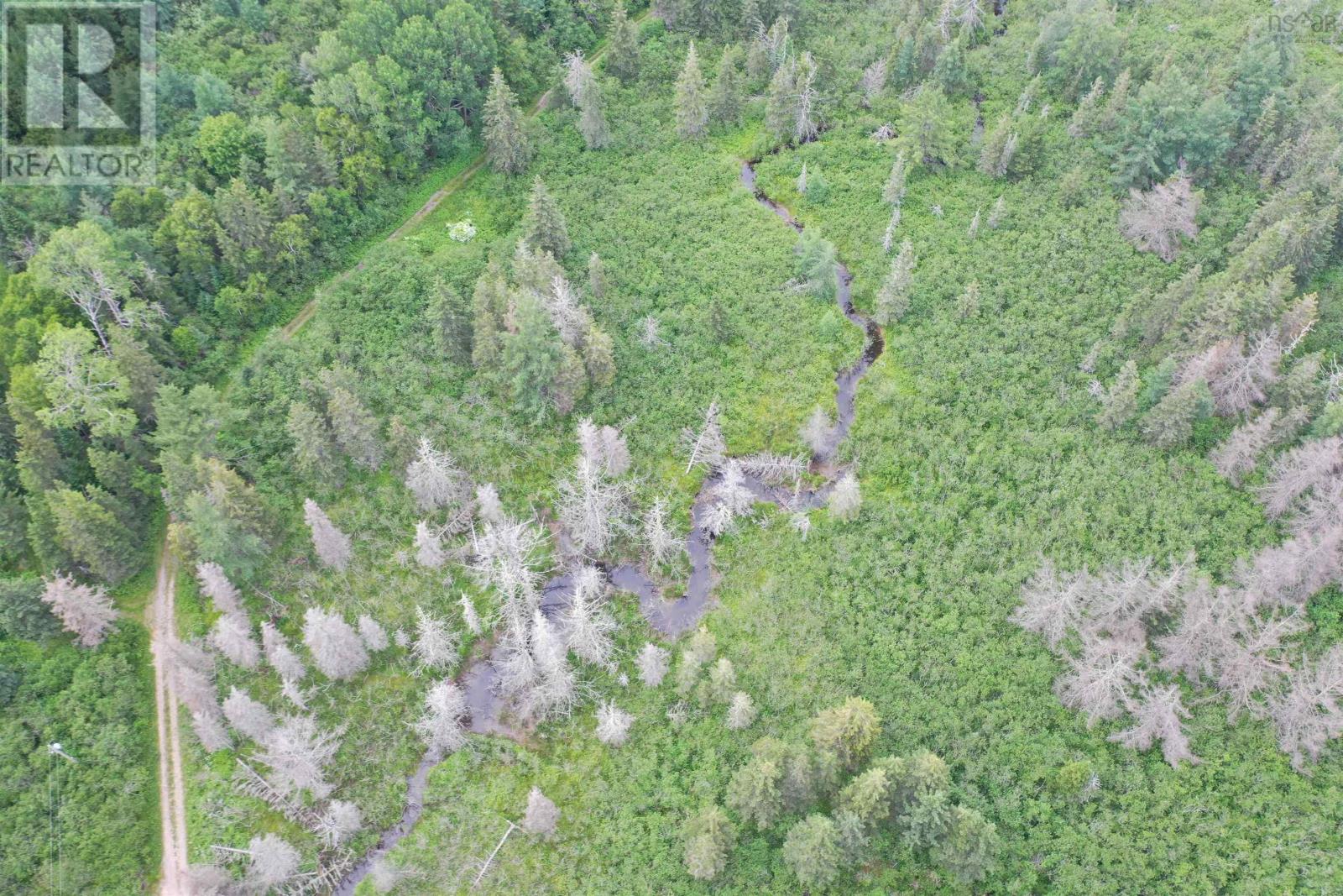 Rear Estmere Road, Estmere, Nova Scotia  B0E 1T0 - Photo 2 - 202516777