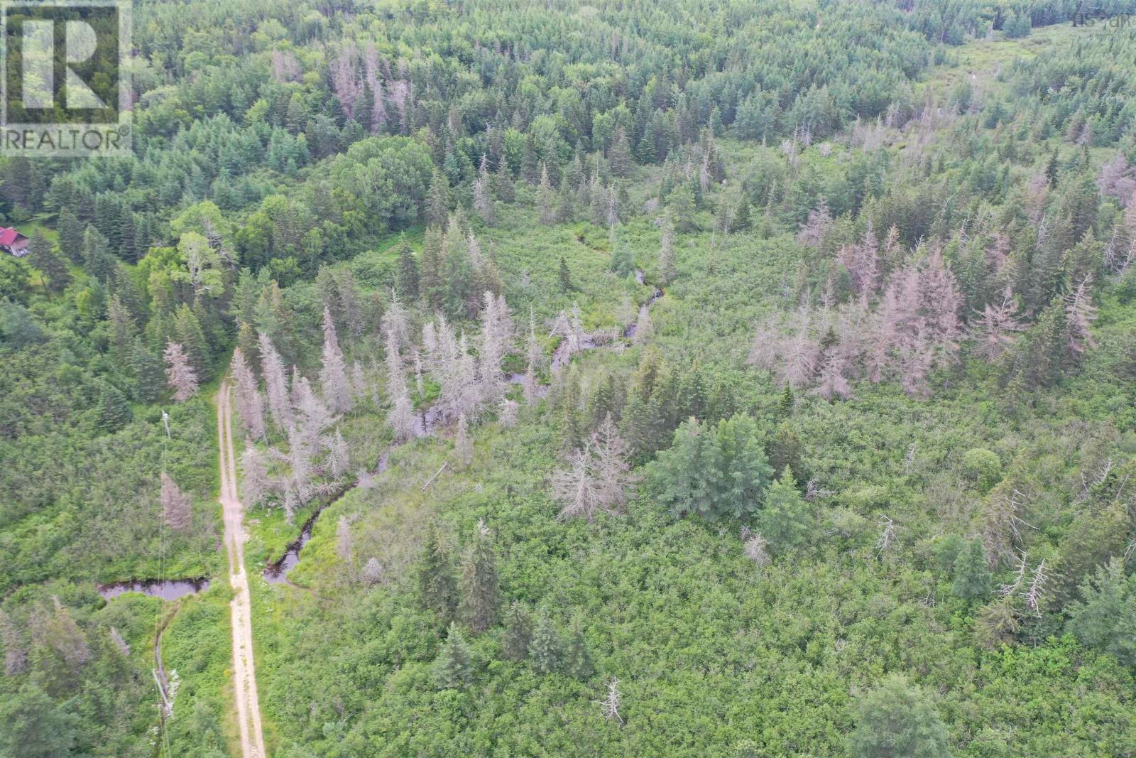 Rear Estmere Road, Estmere, Nova Scotia  B0E 1T0 - Photo 6 - 202516777