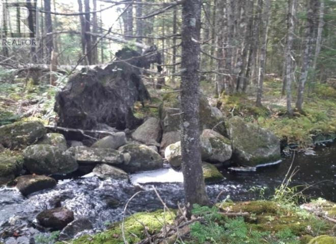 Lots Sissiboo Road, Bear River, Nova Scotia  B0S 1B0 - Photo 12 - 202426725
