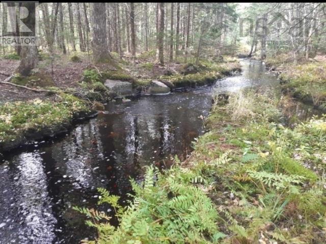 Lots Sissiboo Road, Bear River, Nova Scotia  B0S 1B0 - Photo 11 - 202426725