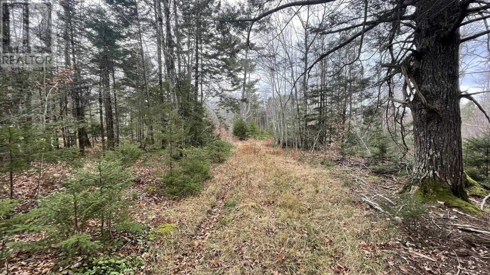 Lots Sissiboo Road, Bear River, Nova Scotia  B0S 1B0 - Photo 15 - 202426725