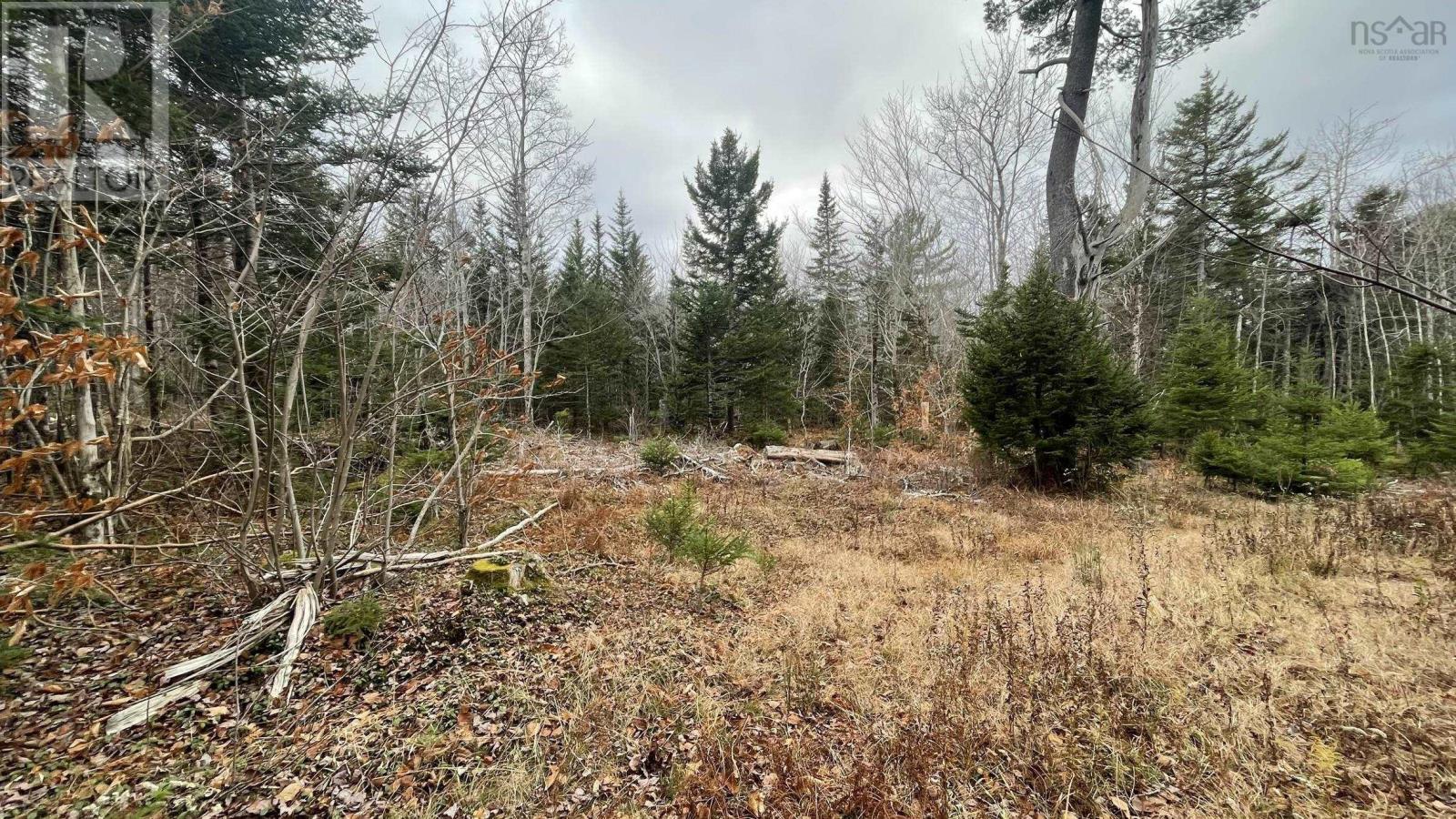 Lots Sissiboo Road, Bear River, Nova Scotia  B0S 1B0 - Photo 16 - 202426725