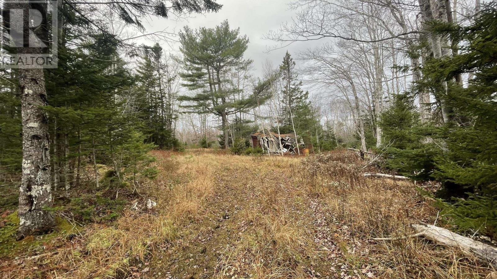 Lots Sissiboo Road, Bear River, Nova Scotia  B0S 1B0 - Photo 14 - 202426725