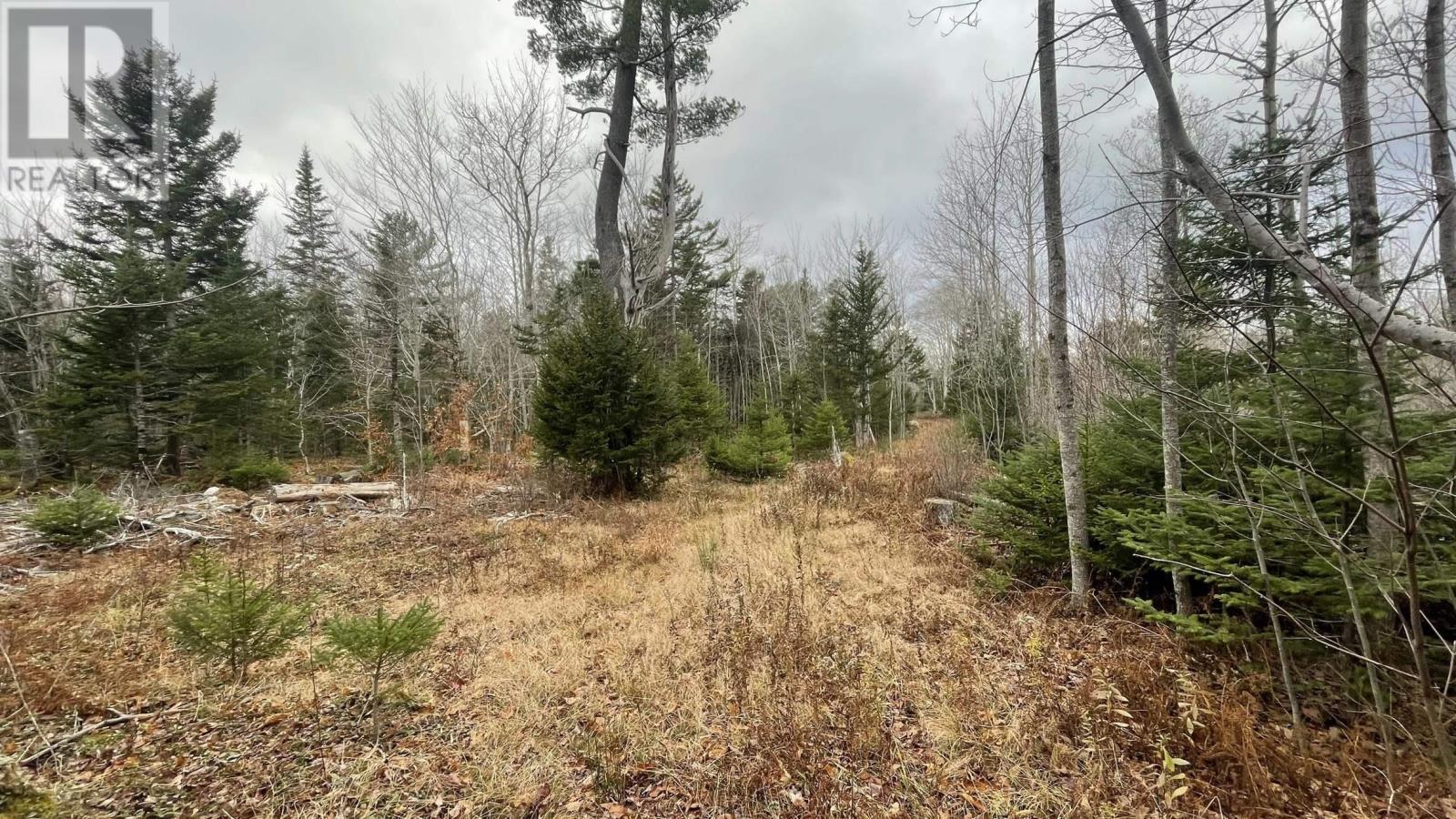 Lots Sissiboo Road, Bear River, Nova Scotia  B0S 1B0 - Photo 17 - 202426725