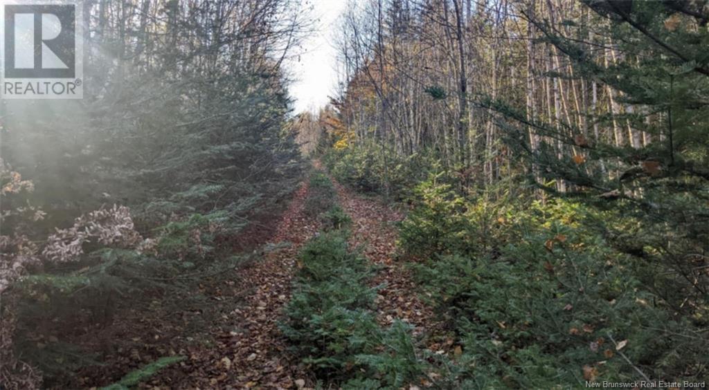 Old Great Road, Hopewell Cape, New Brunswick  E4H 3J6 - Photo 1 - NB122277